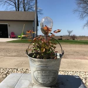 Meet your Posher, Mindy